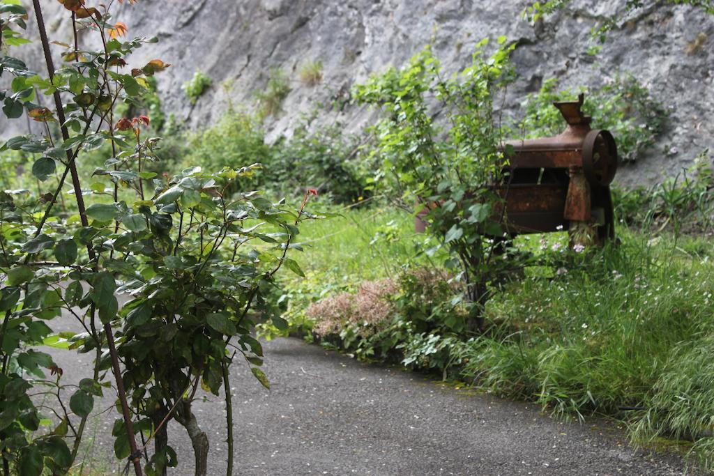 Muriances Vilde Luaran gambar